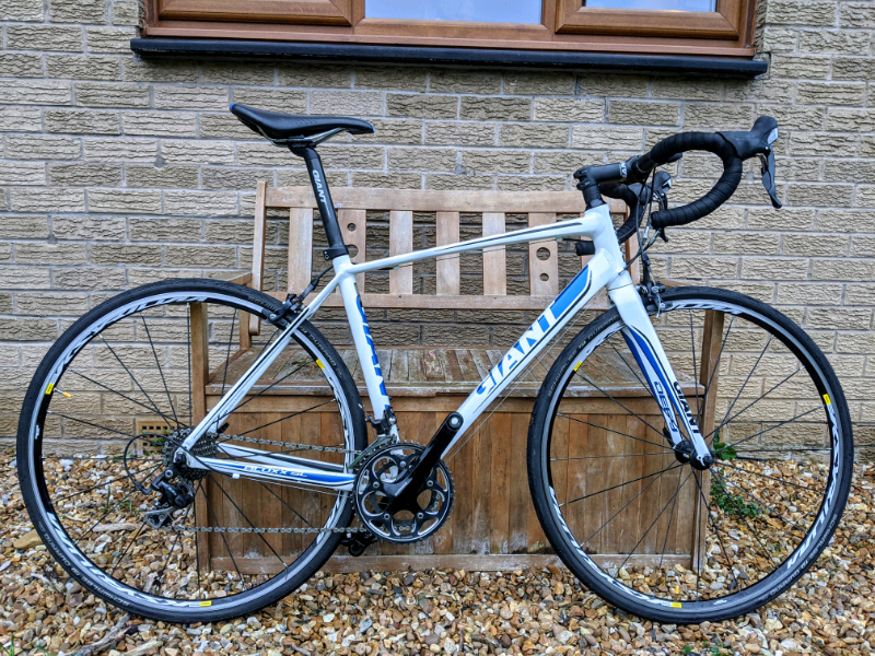 giant defy gumtree